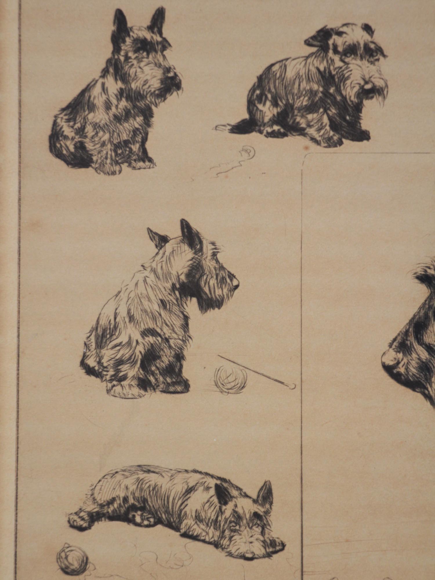 AN ORIGINAL AMERICAN ETCHING DOG BY DIANA THORNE PIC-2